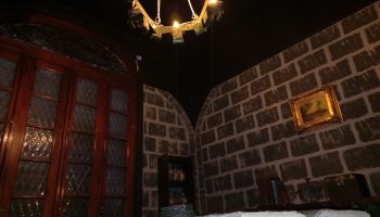 los-secretos-del-bosque-magico